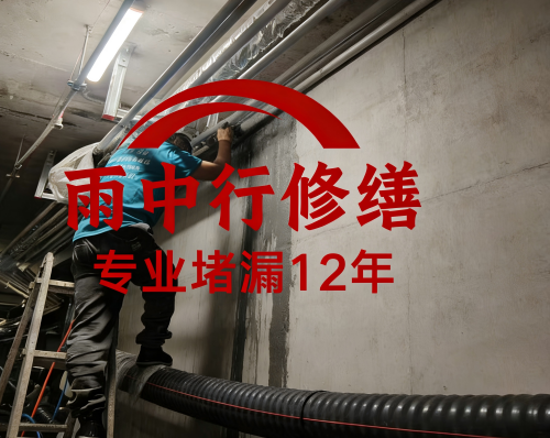 崇左管廊堵漏案例